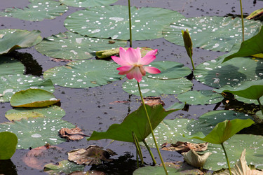 Similar image 2995337