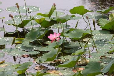 Similar image 2995338