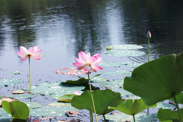 Similar image 2995340