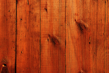 Similar image 2995346