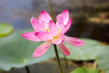 Similar image 2995355