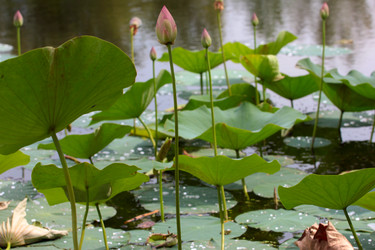 Similar image 2995356