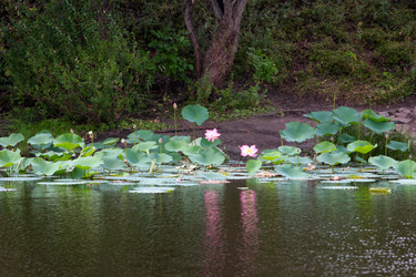 Similar image 2995357