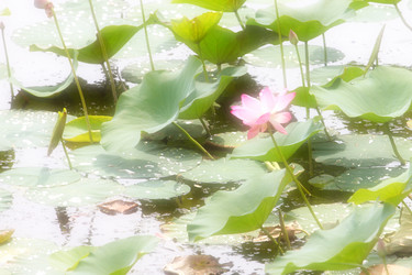 Similar image 2995358