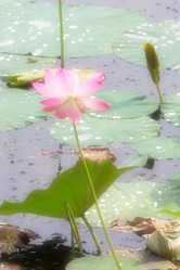 Similar image 2995359