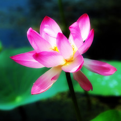 Similar image 2995360