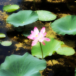 Similar image 2995362