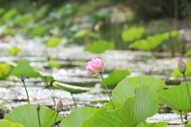 Similar image 2995367