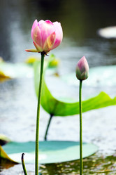 Similar image 2995368