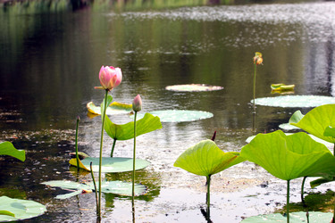 Similar image 2995369