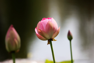 Similar image 2995370