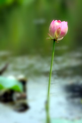 Similar image 2995371