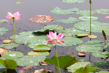 Similar image 2995373