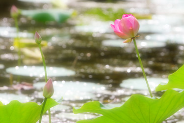 Similar image 2995375