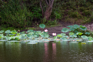 Similar image 2995376