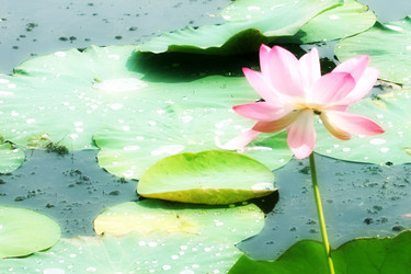 Similar image 2995378