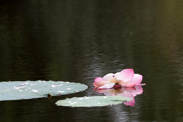 Similar image 2995380