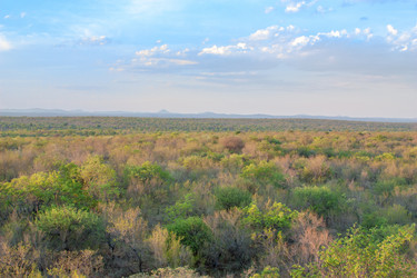 Similar image 2995554