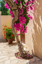 Similar image 2995565