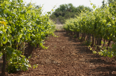 Similar image 2995587