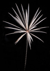 Similar image 2995676