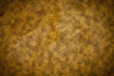 Similar image 2995747