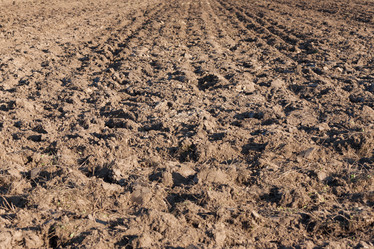 Similar image 2995752