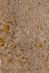 Similar image 2995759