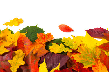 Similar image 2995766