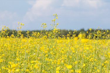 Similar image 2995785