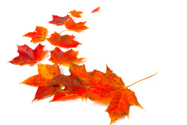 Similar image 2995805