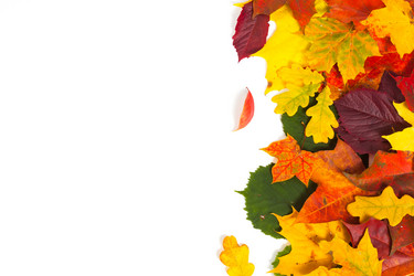 Similar image 2995806