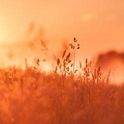 Similar image 2995807