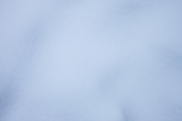 Similar image 2995810