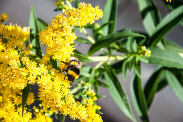 Similar image 2995966