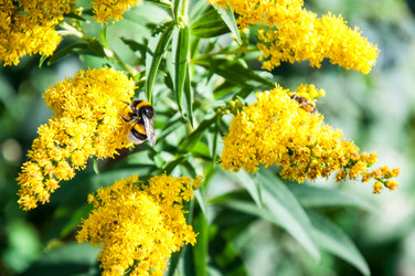 Similar image 2995967