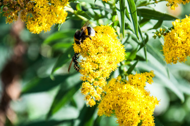 Similar image 2995968