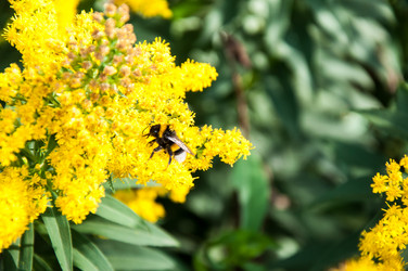 Similar image 2995970