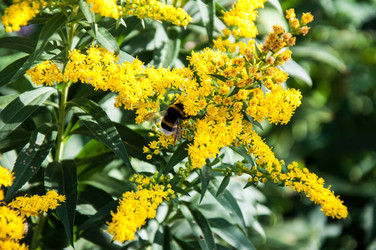 Similar image 2995971