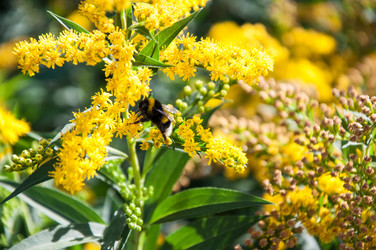 Similar image 2995972