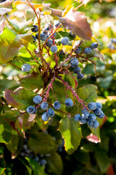 Similar image 2995981