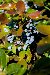 Similar image 2995982