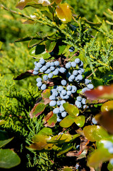 Similar image 2995983