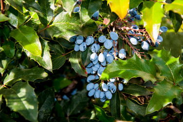 Similar image 2995984