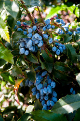 Similar image 2995985