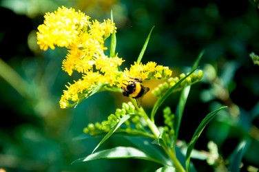 Similar image 2995987