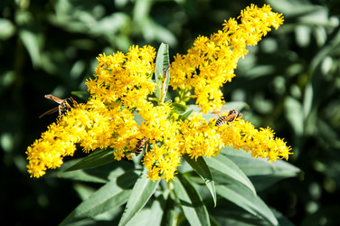 Similar image 2995988