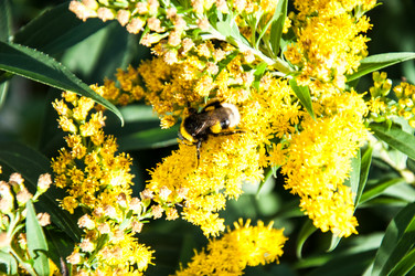 Similar image 2995989