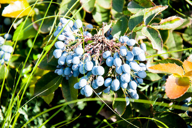 Similar image 2995991