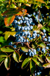 Similar image 2995992